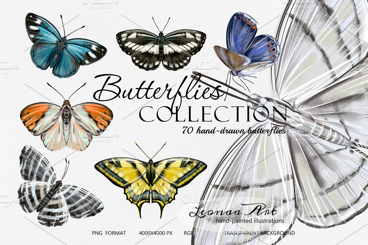Butterflies Clipart Set, an Animal Illustration by Leonaa art (Photo 12 of 12)
