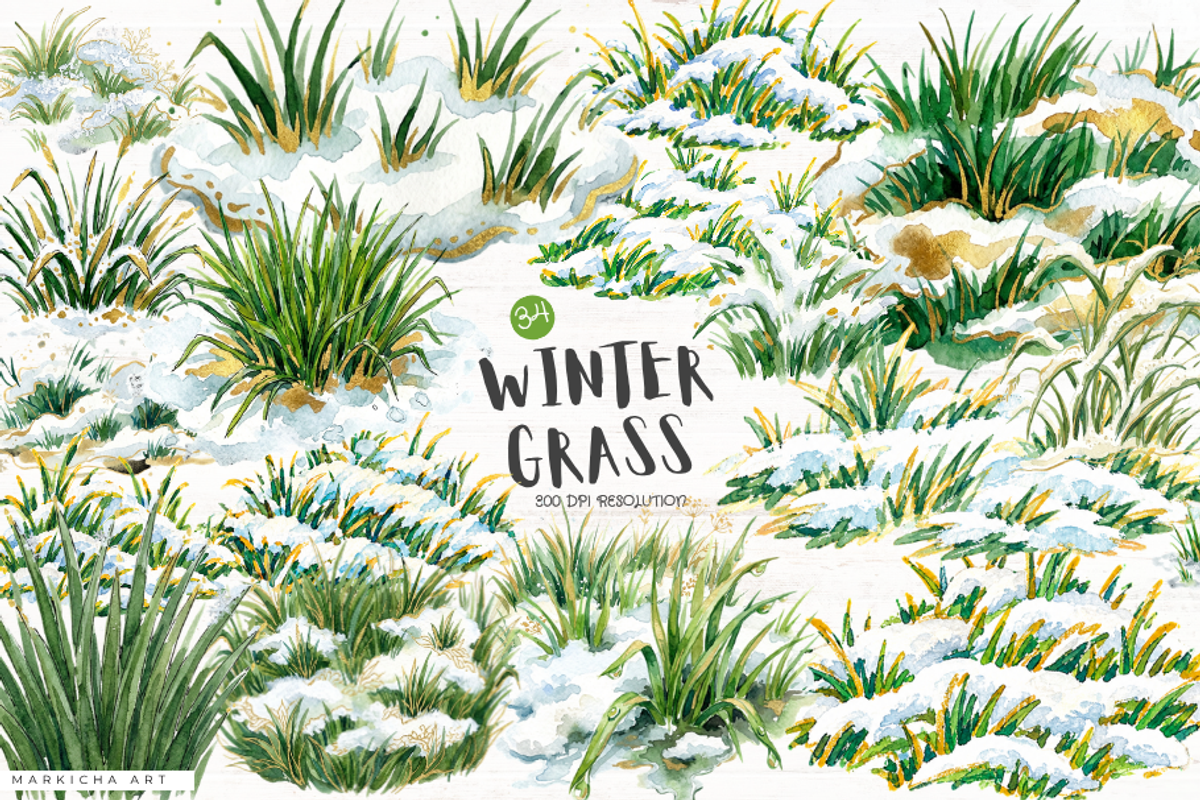 Winter Snowy Grass Clipart, a Seasonal Illustration by Markicha Art (Photo 1 of 6)