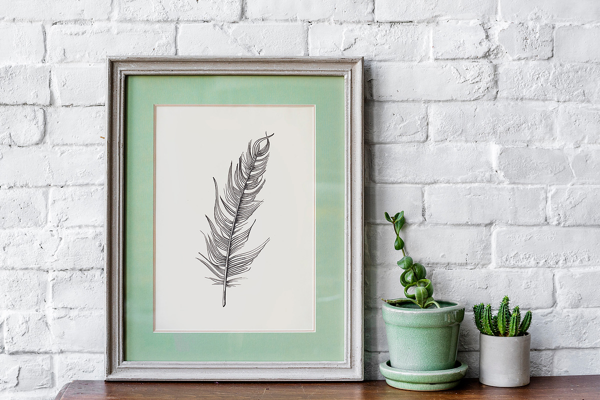 Feather. Sketch and patterns, an Illustration by Canatic (Photo 7 of 7)