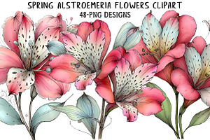 Spring Alstroemeria Flowers Clipart, an Illustration by Daily.Designs