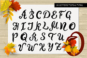 Autumn leaves vector collection, a Seasonal Illustration by VaraNa Art (Thumbnail 8 of 15)