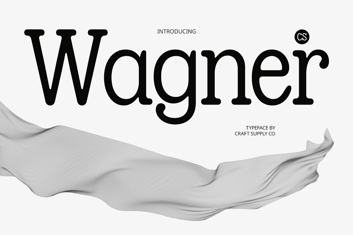 CS Wagner – Modern Font, a Serif Font by Craft Supply Co. (Photo 1 of 8)