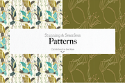 Fancy Hummingbird Collection, a Texture Illustration by DesignsByMissM (Thumbnail 3 of 4)