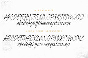 Meraki SVG Script Font, a Script Font by Tom Chalky (Thumbnail 7 of 8)