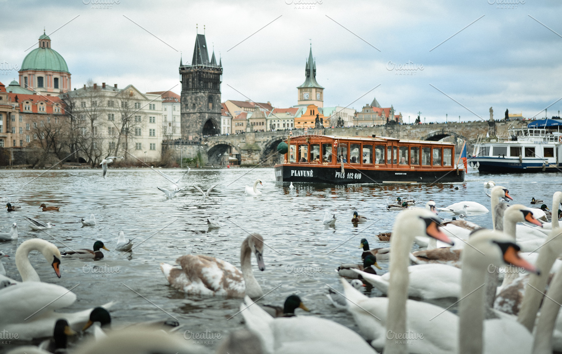 Beautiful Cityscape with Swans, an Architecture Photo by Pro.Motion