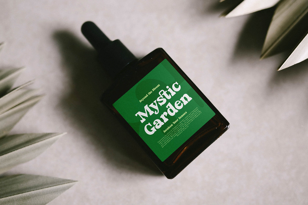 Parfect Silent Modern Bold Serif, a Serif Font by timelesstype.co (Photo 11 of 20)