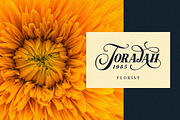 Hondurhas Layered, a Serif Font by Bombastype (Thumbnail 3 of 11)