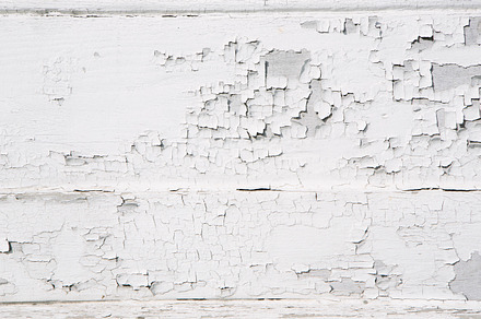 Peeling Bark preview 4