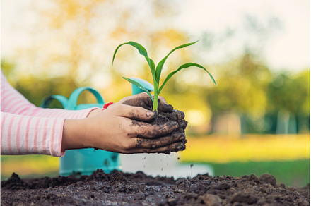 The child is planting a plant in the, a Nature Photo by yanadjana