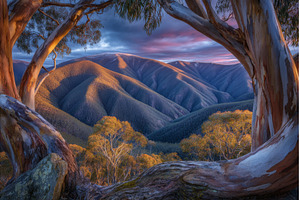 The lookout at Moran Falls track in, a Nature Photo by ZinetroN