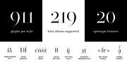 Operetta, a Serif Font by Synthview Type Design (Thumbnail 8 of 10)
