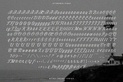 Hottest Springs Typeface, a Script Font by Letter Fresh (Thumbnail 10 of 12)