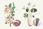 Vintage Flowers Vol.03 - Extra Large, an Illustration by Greta Ivy (Thumbnail 6 of 15)
