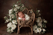 Newborn Chair Digital Backdrop, a Layer Style Add-On by Wild Honey Design Co. (Thumbnail 1 of 2)