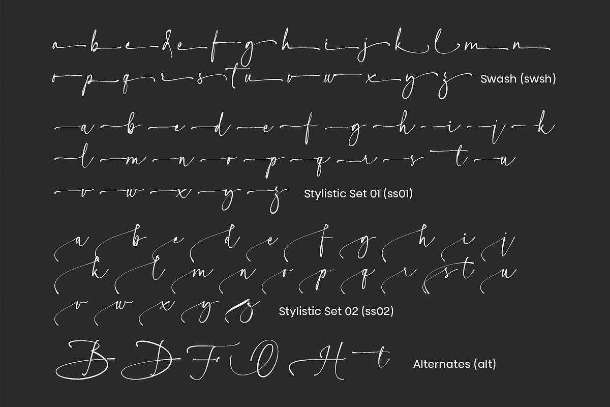 Amore Signature, a Script Font by Cititype (Photo 17 of 19)