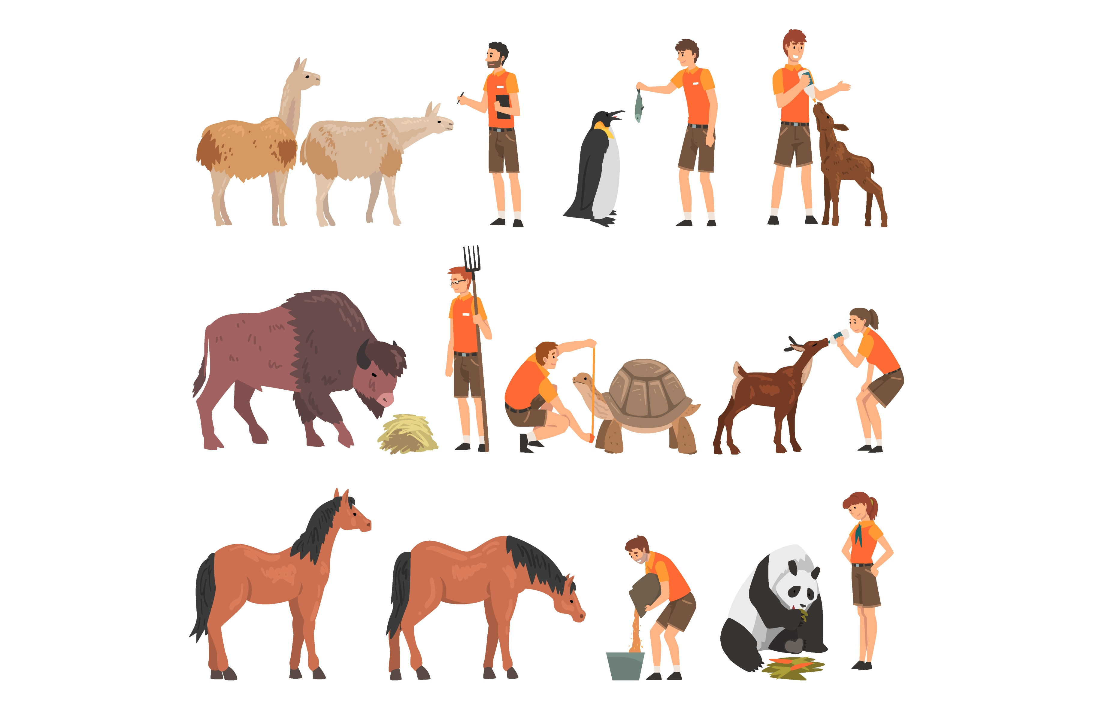 Man And Woman Zookeeper Engaged In by Topvectors  Creative Market