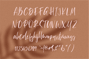 Catherina Script