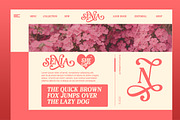 Mawar - Alternate Slant Serif, a Serif Font by Luna Shop (Thumbnail 8 of 9)