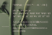 Sapyre - New Modern Elegant Serif, a Serif Font by Muflieart (Thumbnail 9 of 10)