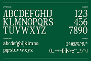The Foriene Serif Font, a Serif Font by Rasio Studio (Thumbnail 2 of 15)