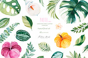 Pastel Vol.2. Boho Summer collection, an Animal Illustration by Kate_Rina (Thumbnail 3 of 9)