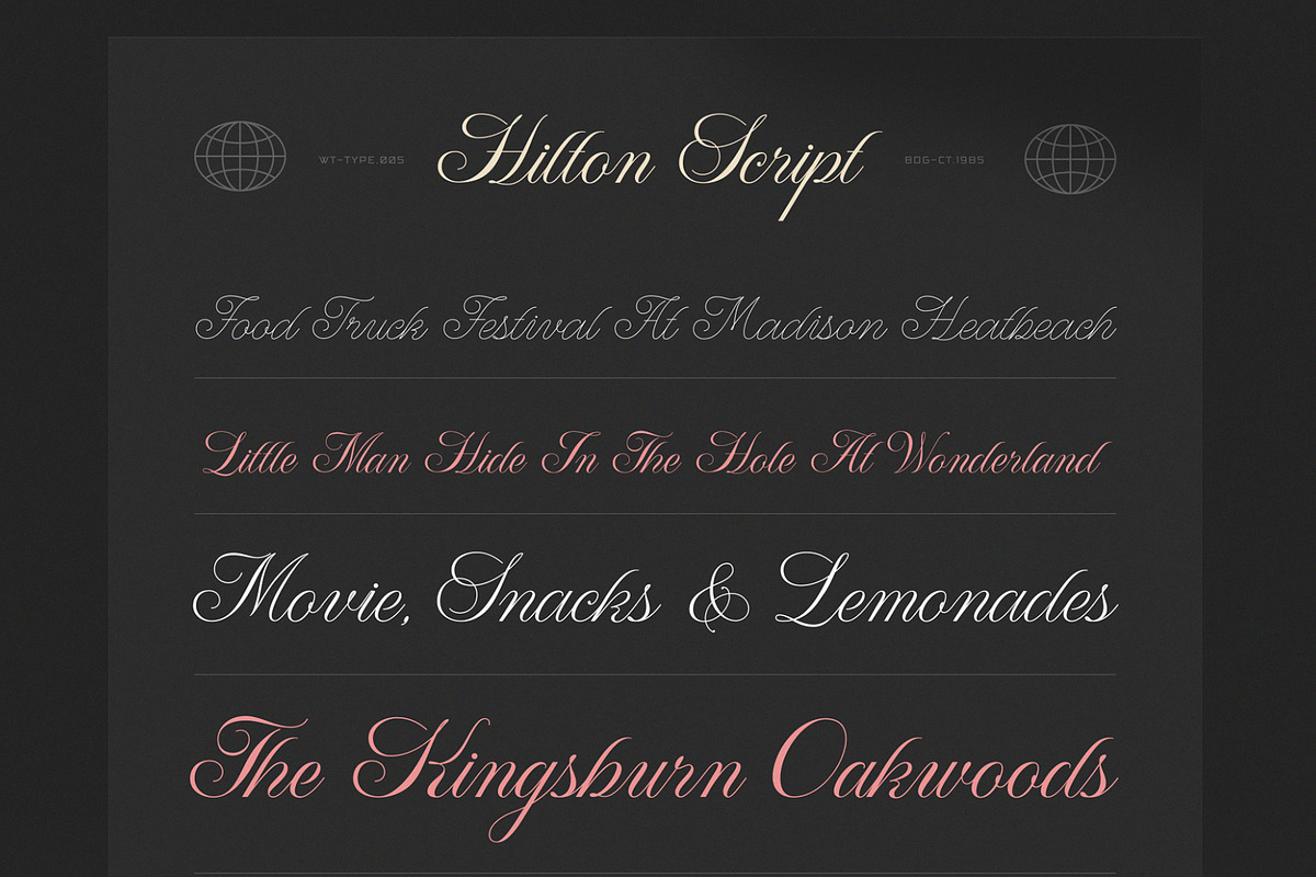 WT Hilton Script, a Font by Winston Type Co. (Photo 8 of 9)