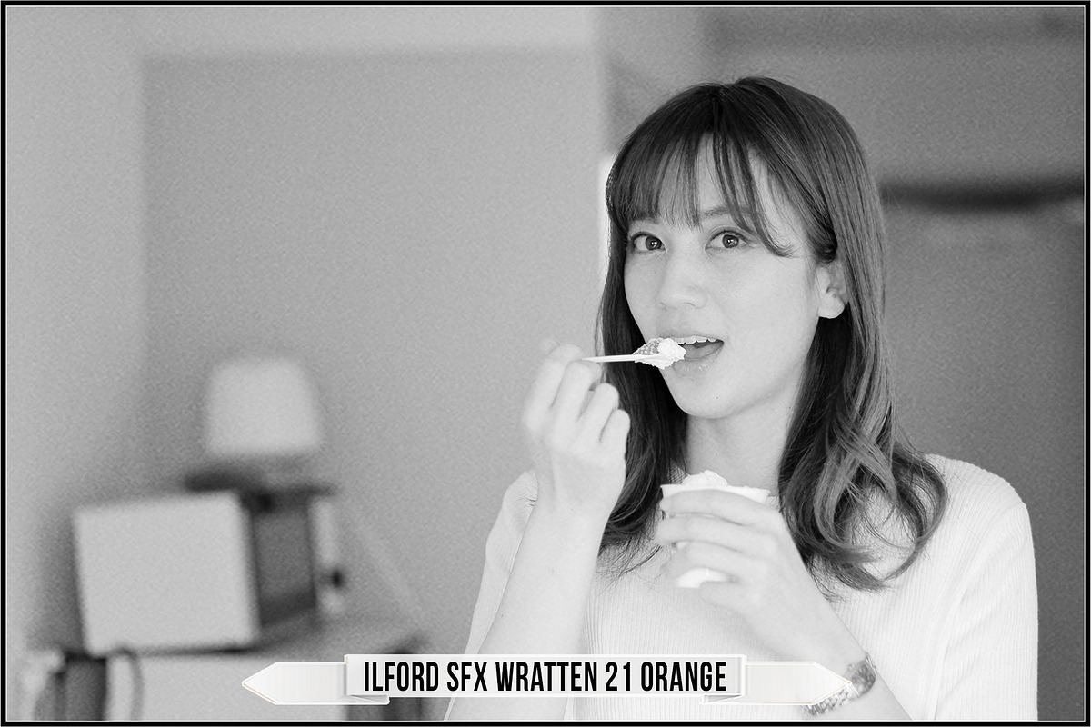 Ilford Films LUTs, a Plug-in Add-On by Raztrend (Photo 15 of 30)