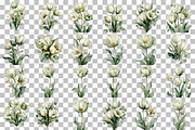 Tulip Whisper Watercolor Clipart, an Illustration by DreamCafeArt (Thumbnail 3 of 6)