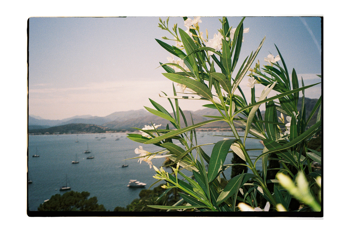 REALISTIC ANALOG FILM FRAME, a Social Media Template by El Oasis Market (Photo 6 of 6)