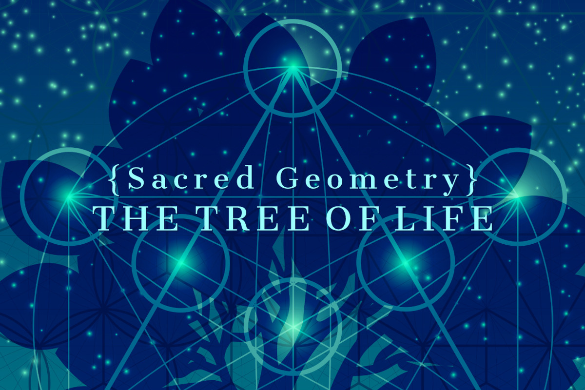 {Sacred Geometry} The Tree of Life, an Illustration by ekaart (Photo 1 of 7)