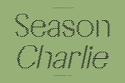 CS Aureta Bricks, a Sans Serif Font by Craft Supply Co. (Thumbnail 3 of 8)