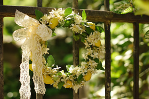 Summer garden by the lemon tree, countryside nature, a Photo by Studio ANNA