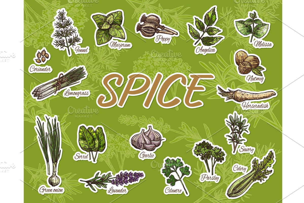 Cooking spices, herbs, seasonings, a Food Illustration by Vector Tradition