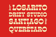 La Losarito – Reverse Contrast Weste, a Slab Serif Font by Drizy (Thumbnail 2 of 10)