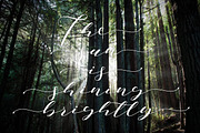 Notetail Script Typeface, a Script Font by alphadesign (Thumbnail 3 of 7)
