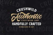 Lazyday - Bold Script Font, a Script Font by StringLabs (Thumbnail 3 of 13)