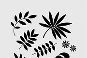 collection tropical leaf silhouette, an Illustration by Amazin_art (Thumbnail 17 of 21)