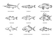 Saltwater fish set, an Animal Illustration by Tettygreen (Thumbnail 3 of 3)