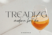Treading - Modern Font Duo, a Serif Font by Prioritype Co (Thumbnail 1 of 17)