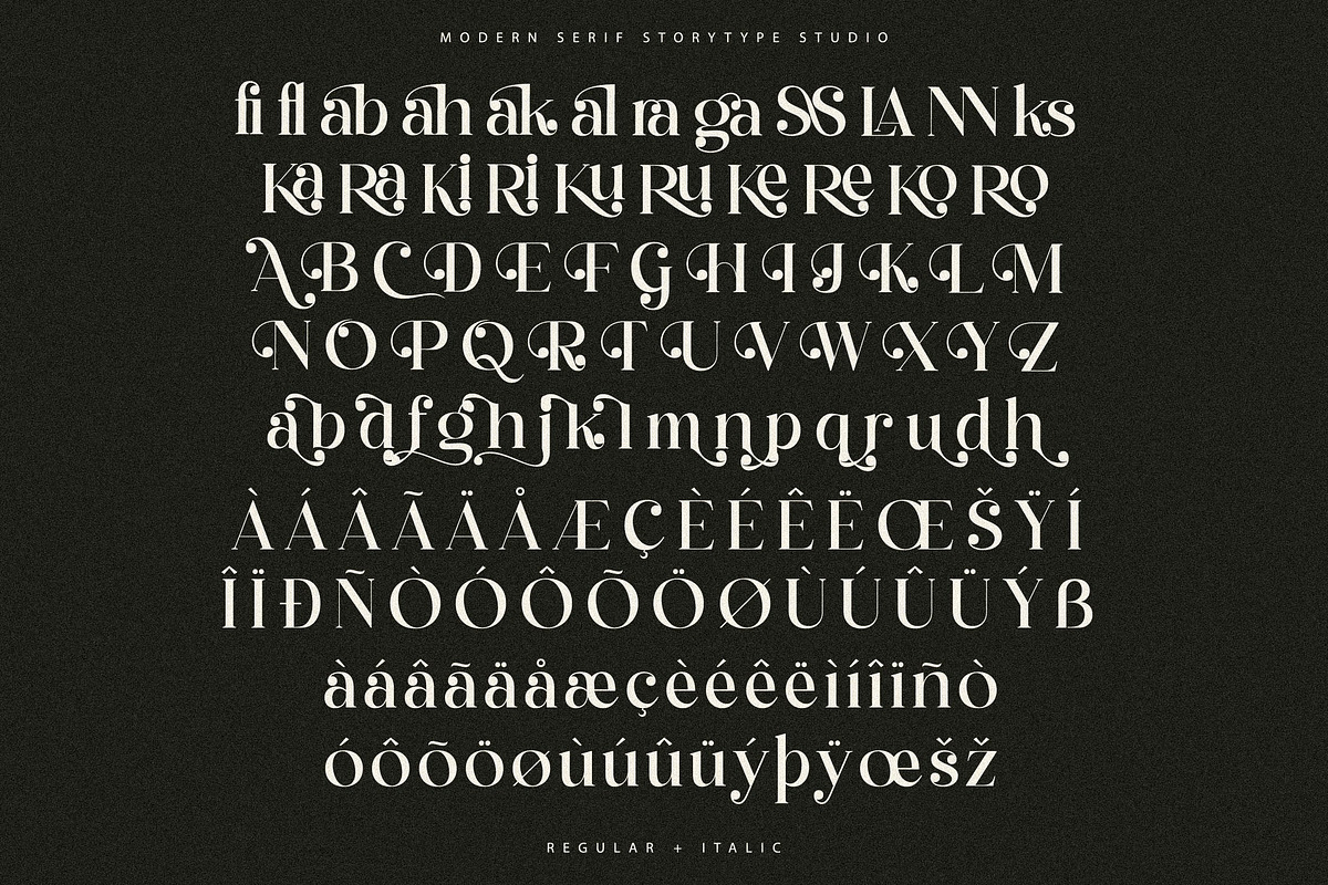 Qelrage Modern Serif Font, a Serif Font by Storytype Studio (Photo 14 of 15)