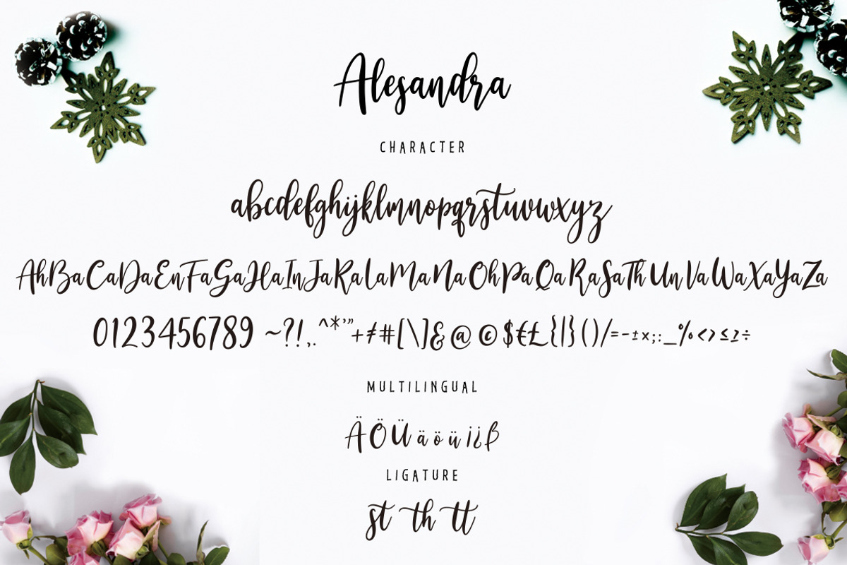 Alesandra Calligraphy Business Font preview 7