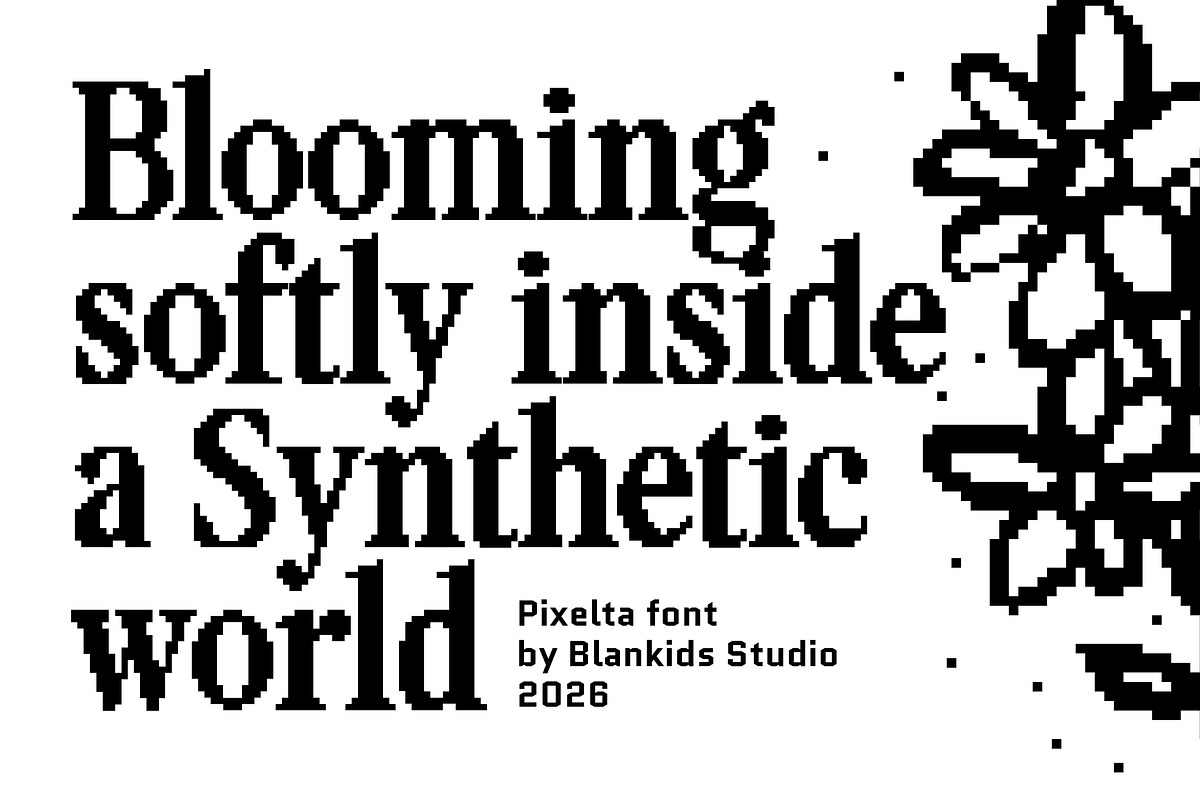 Pixelta – Serif Pixel Font, a Serif Font by Blankids Studio (Photo 6 of 14)