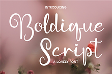 Boldique Script - Lovely Script