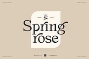 Magilla - Serif Font, a Serif Font by Dora Typefoundry (Thumbnail 3 of 19)