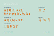 Wind Soul, a Symbol Font by Nathatype (Thumbnail 4 of 10)
