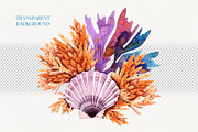 Marine Watercolor Clipart, an Animal Illustration by YarovaArt (Thumbnail 14 of 19)