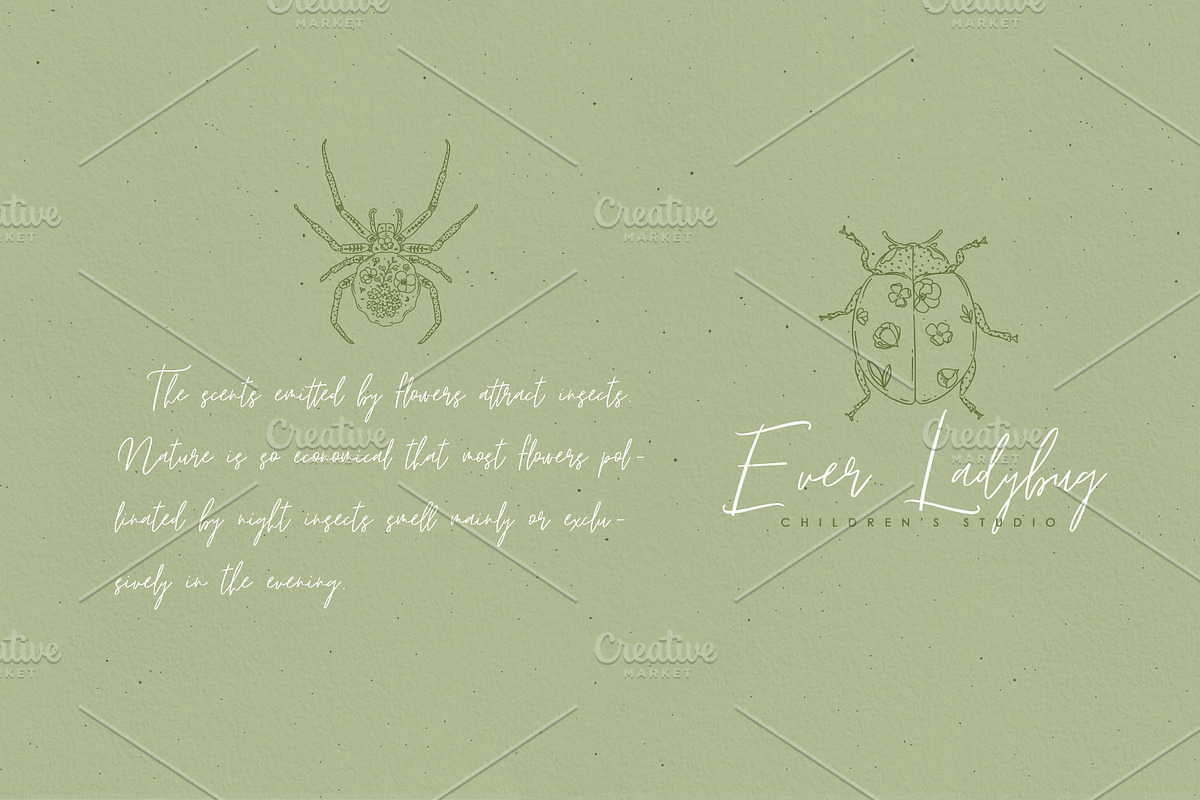 Lyuli Font Script, a Script Font by Anna (Photo 5 of 9)