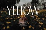 Allerick | Modern Classic, a Sans Serif Font by Muntab_Art (Thumbnail 5 of 9)