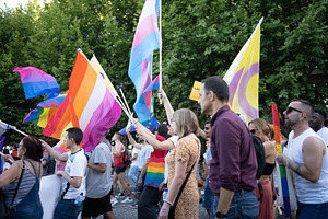 Group of homosexual people with rainbow flags at gay pride parade, a Photo by andreonegin market