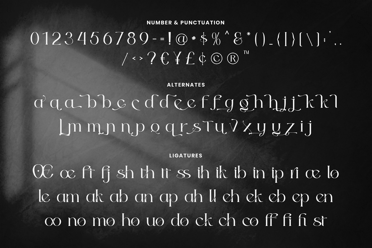 Odena Glamour - Modern Serif, a Serif Font by Salamahtype (Photo 7 of 10)